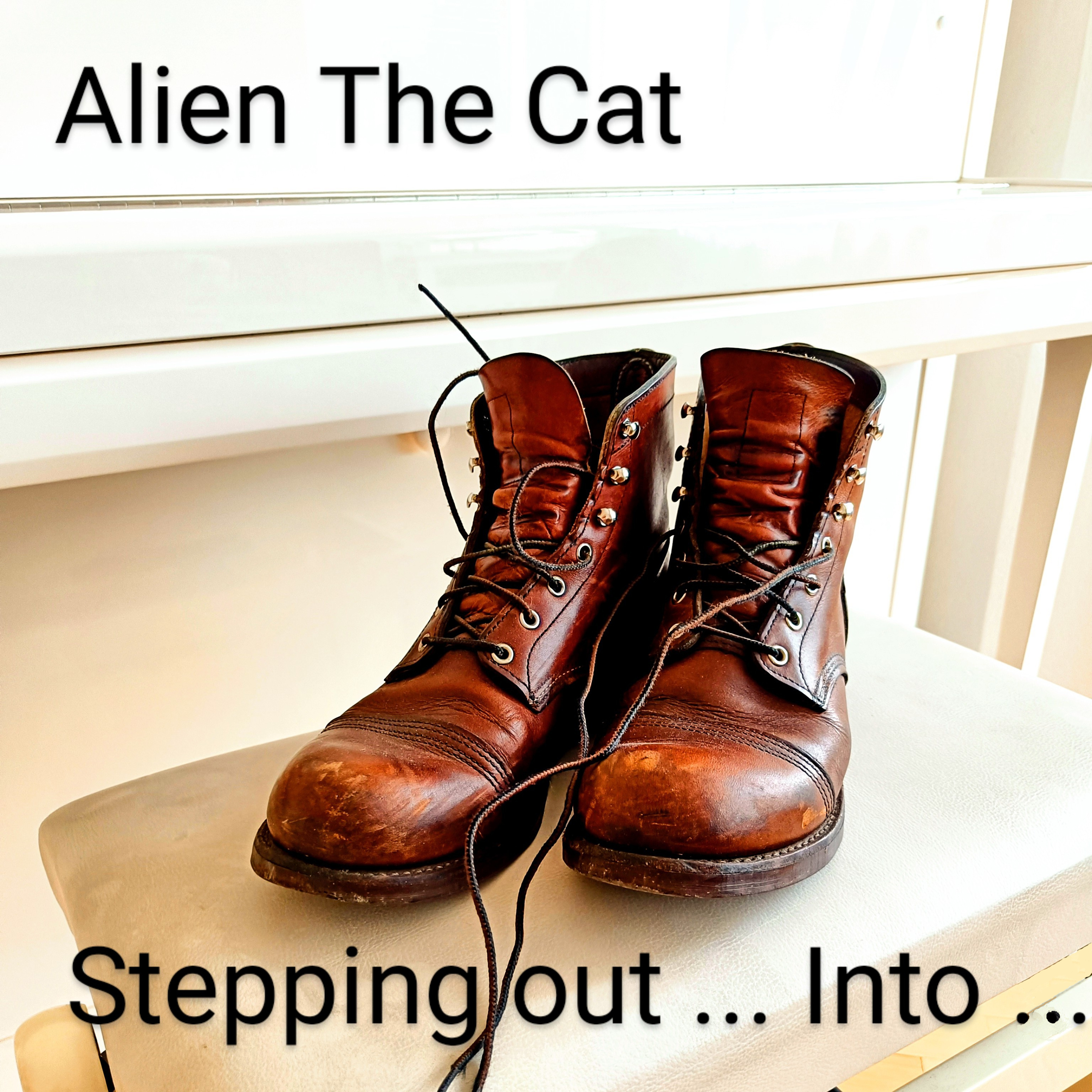 Stepping out ... into ... cover art